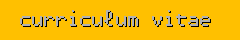 curriculum vitae