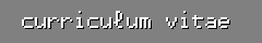curriculum vitae